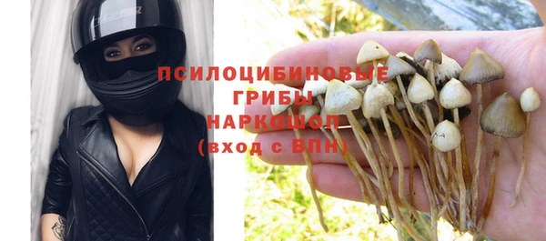 сатива Вяземский