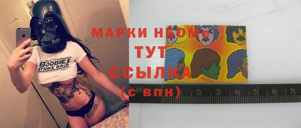 сатива Вяземский