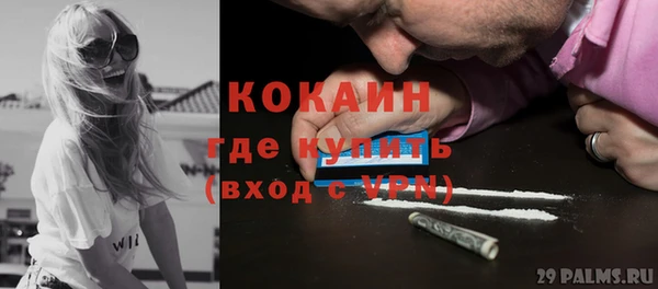 сатива Вяземский
