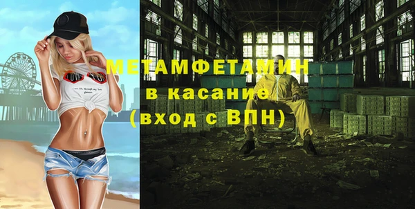 сатива Вяземский