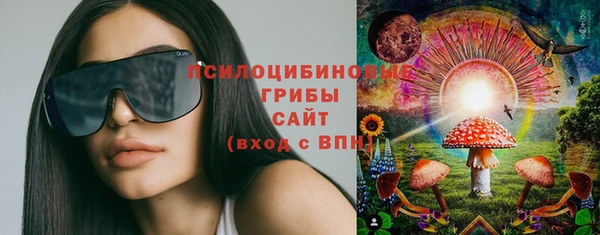 сатива Вяземский