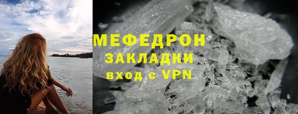 сатива Вяземский