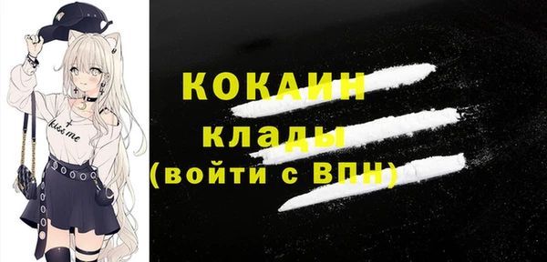 сатива Вяземский
